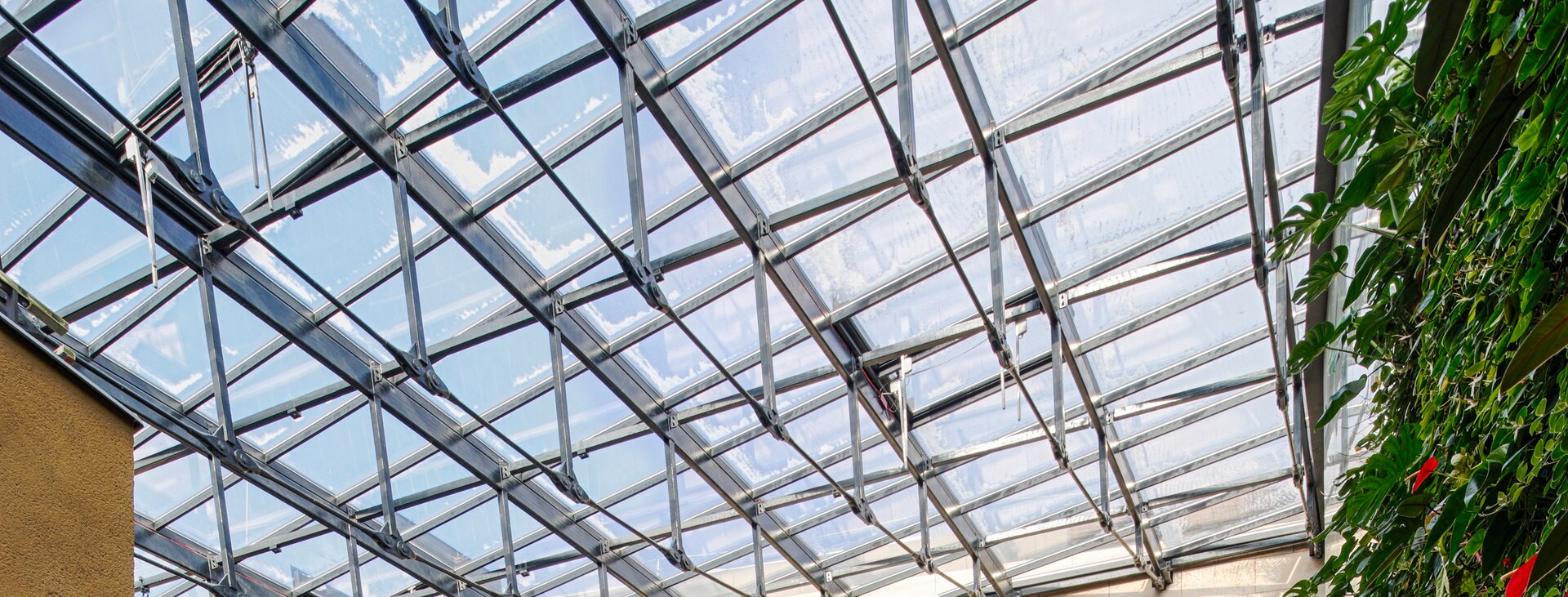Light-flooded glass roof with metal struts and roof windows equipped with ZA drives