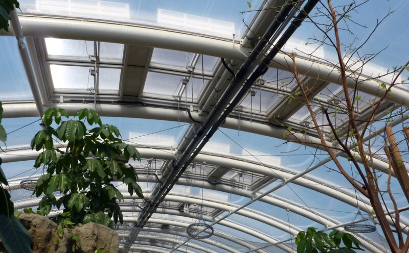 Industrial greenhouse with plants, equipped with DXD drives in the roof